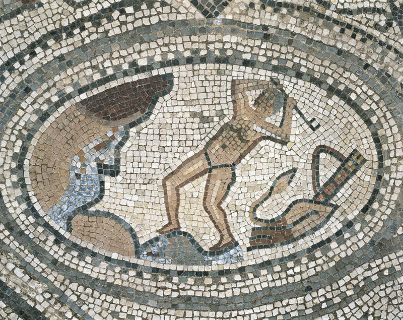 Who was Hercules?, The birth of Hercules, Hera's wrath, Hercules' madness, Hercules consults the oracle, One: The Nemean lion, Two: The Lernean hydra, Three: The golden hind, Four: The Erymanthian boar, Five: The stables of King Augeas, Six: The Stymphalian birds, Seven: The Cretan bull, Eight: The mares of Diomedes, Nine: The belt of Hippolyta, Ten: The cattle of Geryon, Eleven: The golden apples of Hesperides