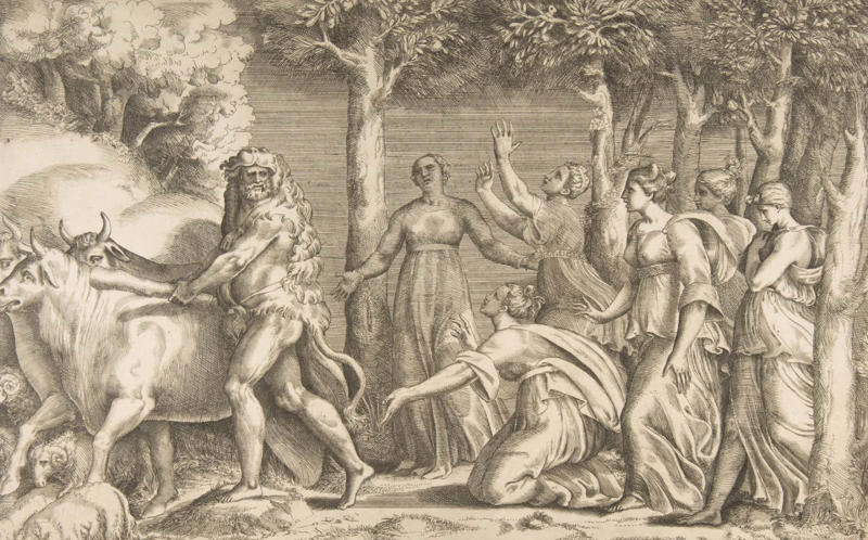 Who was Hercules?, The birth of Hercules, Hera's wrath, Hercules' madness, Hercules consults the oracle, One: The Nemean lion, Two: The Lernean hydra, Three: The golden hind, Four: The Erymanthian boar, Five: The stables of King Augeas, Six: The Stymphalian birds, Seven: The Cretan bull, Eight: The mares of Diomedes, Nine: The belt of Hippolyta, Ten: The cattle of Geryon, Eleven: The golden apples of Hesperides