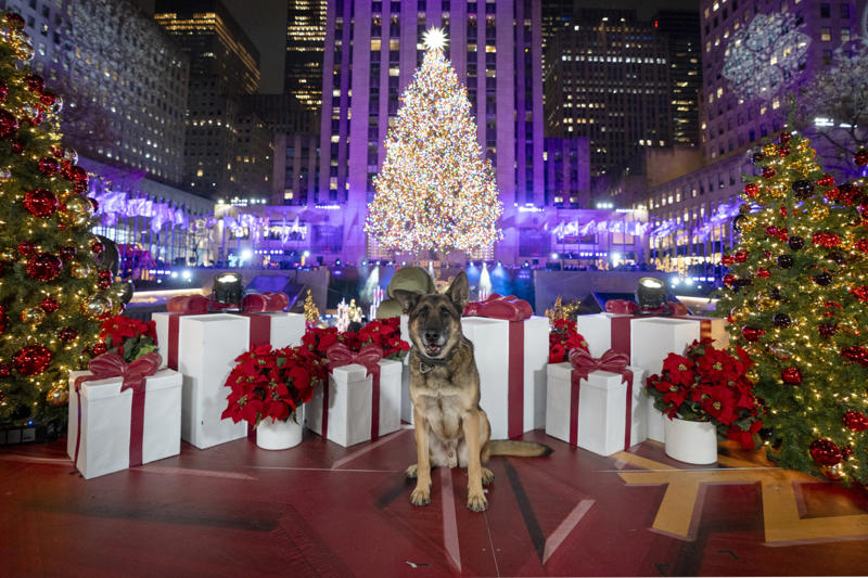 Christmas (USA) Boxing Day (UK/Commonwealth), May Day (UK), Dia de los Muertos (Mexico), Guy Fawkes Night (UK), Family Day (Canada), Holi (India), Puck Fair (Ireland), Festival du Voyageur (Canada), Toonik Tyme (Canada), Holidays some refuse to celebrate, Christmas (USA), Thanksgiving (USA), Columbus Day (USA), Veterans' Day (USA)