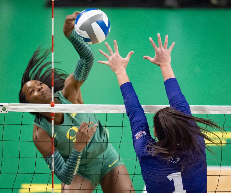 Fantastic women's volleyball photos from the 2024 college season