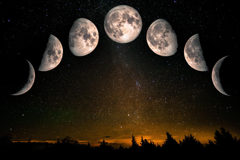 The Moon has a dark side, The Sun is on fire, The asteroid belt is very dangerous, Black holes are like vacuums, Stars in constellations are close together, Saturn is the only ringed planet in the solar system, The Sun is yellow, A light-year measures time, Earth's shadow causes lunar phases, Stars twinkle, Comet tails indicate which way they're heading, Mercury is the hottest planet in the solar system, Humans would explode in space without a spacesuit, The Sun is the only star that has planets