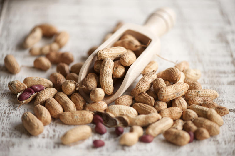 Peanut Brazil nut, Major Brazil-nut producing countries, Hazelnut, Macadamia, Chestnut, Pistachio, Pine nut