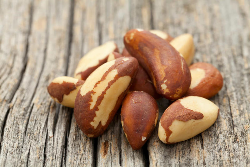 Major Brazil-nut producing countries Brazil nut, Major Brazil-nut producing countries, Hazelnut, Macadamia, Chestnut, Pistachio, Pine nut
