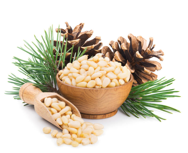 Pine nut Brazil nut, Major Brazil-nut producing countries, Hazelnut, Macadamia, Chestnut, Pistachio, Pine nut