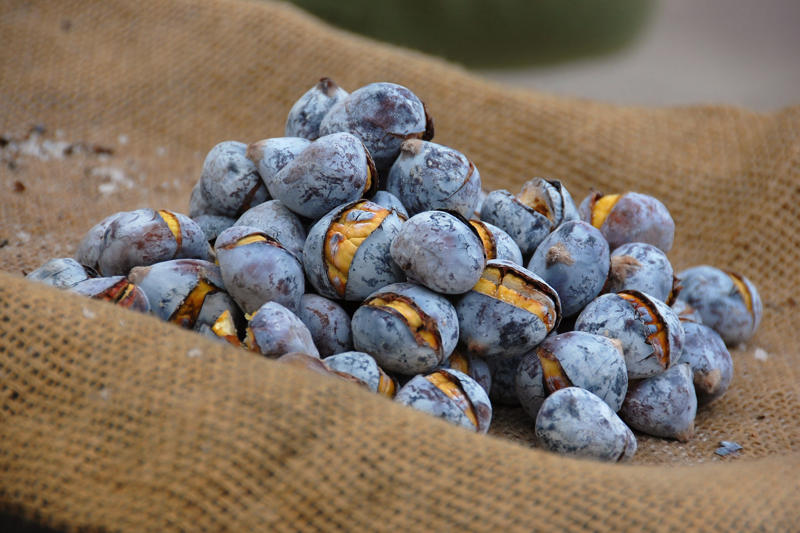 Chestnut Brazil nut, Major Brazil-nut producing countries, Hazelnut, Macadamia, Chestnut, Pistachio, Pine nut