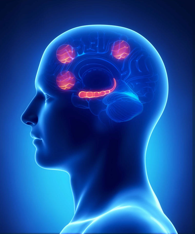 The brain Our prehistoric roots, Taste of survival, The reward system, A new landscape, The modern diet, Building tolerance, Food addiction, Reduced self-control, Prefrontal cortex, Time to repair, Blood sugar levels and mood, What can we do?, It gets easier, Be wary of certain health foods, Avoid low-fat products, You can do it!