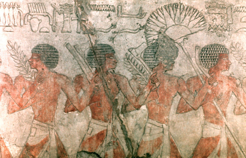 Shaping Egypt’s history, The afterlife and its treasures, The history of tomb robbing, Special skills, Stealing in silence, Early tombs, Deception, A doorway for thieves, The encouragement of kings, A network of criminals, Erasing vital historical details, The rise of Egyptomania, Taking mummies as trophies, Museum controversies, Colonialism, Through the black market