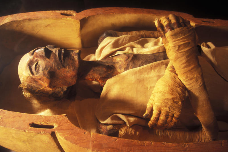 Shaping Egypt’s history, The afterlife and its treasures, The history of tomb robbing, Special skills, Stealing in silence, Early tombs, Deception, A doorway for thieves, The encouragement of kings, A network of criminals, Erasing vital historical details, The rise of Egyptomania, Taking mummies as trophies, Museum controversies, Colonialism, Through the black market
