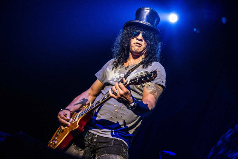 Slash Michael Jackson, Paul McCartney, Jimi Hendrix, Lionel Richie, Elvis Presley, Bob Dylan, Miles Davis, Eric Clapton, Eddie Van Halen, Taylor Swift, Stevie Wonder, Kurt Vile