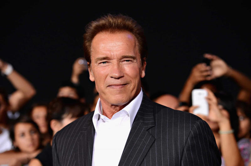 Arnold Schwarzenegger Renée Zellweger, Bruce Willis, Audrey Hepburn, Megan Fox, Sylvester Stallone, Brad Pitt, Channing Tatum, John Wayne, Arnold Schwarzenegger, David Bowie, Kristen Stewart, Evangeline Lilly, Jeff Goldblum, Heath Ledger