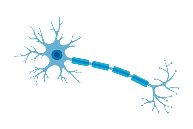 The elusive nature of brain fog, Beyond COVID, Chronic illness and cognitive challenges, Shared symptoms, Functional deficits, Dismissal of symptoms, Autoantibodies, Leaky blood-brain barrier, The hormonal connection, Traumatic brain injuries, Microbial imbalance, Seeking medical assessment, Repurposing drugs, Immunotherapy