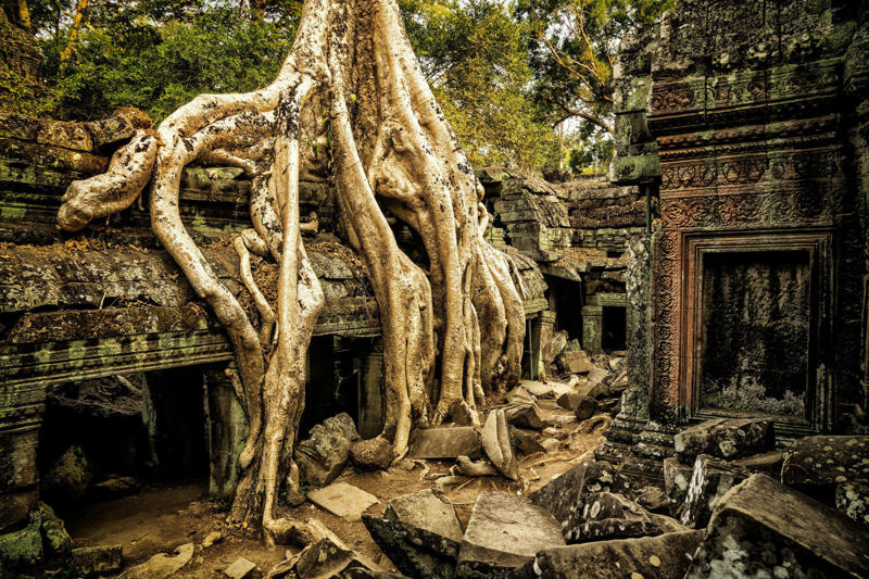 Angkor Wat, Cambodia Shengsi Islands, China, Ōkunoshima, Japan, Kolmanskop, Namibia, Aralkum Desert, Uzbekistan/Kazakhstan, SS Ayrfield, Homebush Bay, Australia, Tunnel of Love, Ukraine, Valle Dei Mulini, Gragnano, Italy, Angkor Wat, Cambodia, Chernobyl, Ukraine