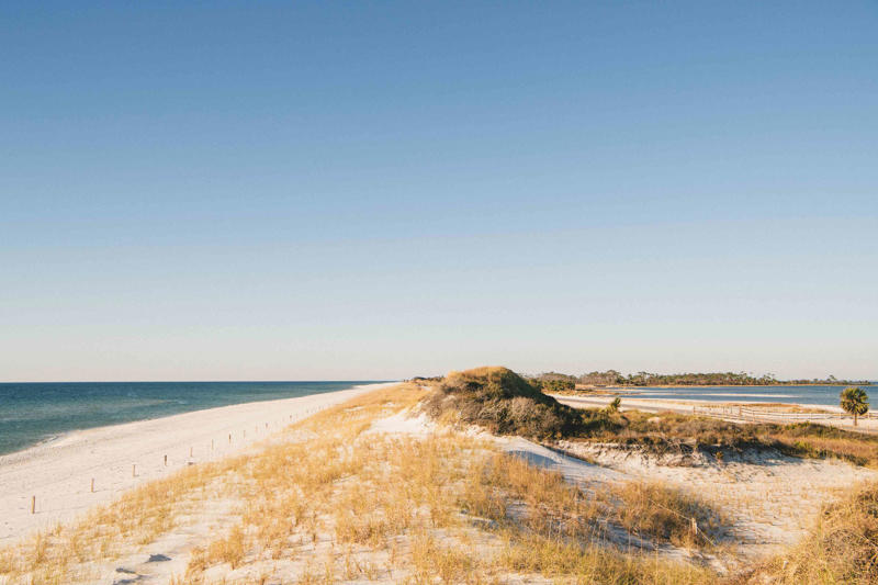 Where Is The Forgotten Coast?, Best Things To Do, Where To Eat and Drink, Where To Shop, Where to Stay