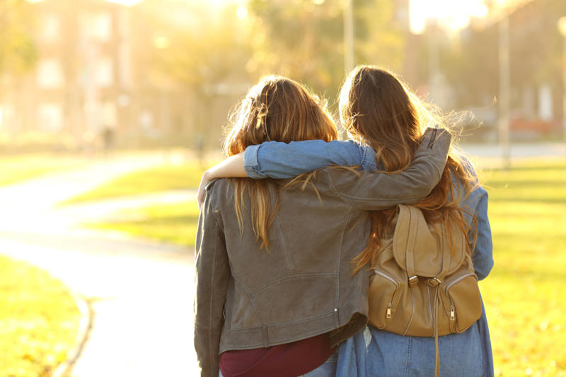 What is a friend?, What is friendship?, How many people do we know?, Doomsday Book, Social circles, Social brain, How about social media?, What makes a good friend?, Traits of integrity: trustworthiness, Traits of integrity: being dependable, Traits of caring: empathy, Traits of caring: good listening skills, Traits of caring: being supportive in good times, Traits of congeniality: fun to be around
