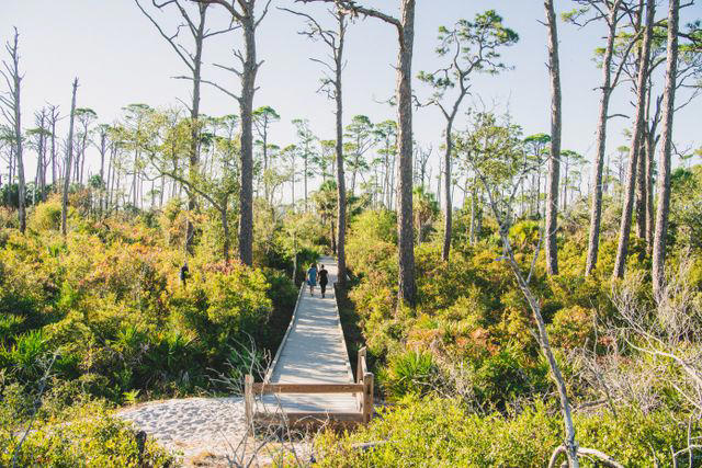 Where Is The Forgotten Coast?, Best Things To Do, Where To Eat and Drink, Where To Shop, Where to Stay