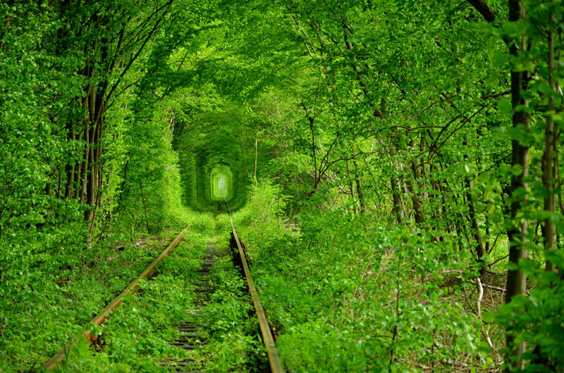Tunnel of Love, Ukraine Shengsi Islands, China, Ōkunoshima, Japan, Kolmanskop, Namibia, Aralkum Desert, Uzbekistan/Kazakhstan, SS Ayrfield, Homebush Bay, Australia, Tunnel of Love, Ukraine, Valle Dei Mulini, Gragnano, Italy, Angkor Wat, Cambodia, Chernobyl, Ukraine