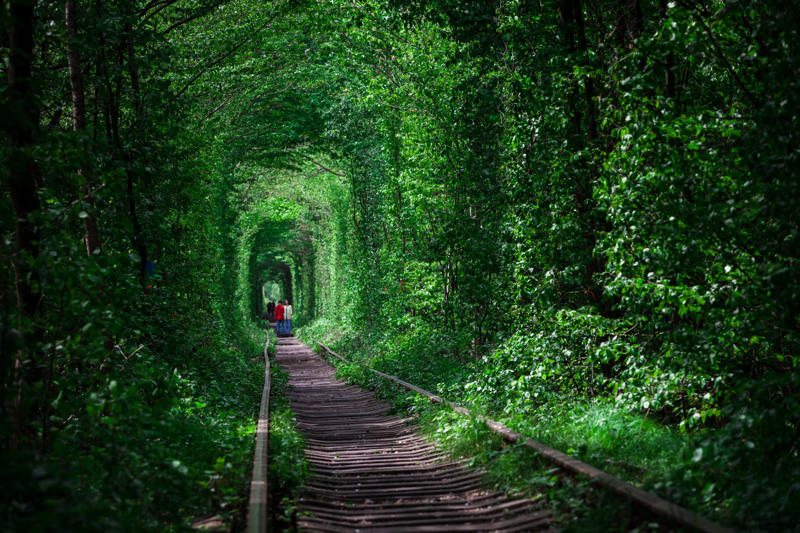 Tunnel of Love, Ukraine Shengsi Islands, China, Ōkunoshima, Japan, Kolmanskop, Namibia, Aralkum Desert, Uzbekistan/Kazakhstan, SS Ayrfield, Homebush Bay, Australia, Tunnel of Love, Ukraine, Valle Dei Mulini, Gragnano, Italy, Angkor Wat, Cambodia, Chernobyl, Ukraine