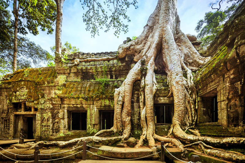 Angkor Wat, Cambodia Shengsi Islands, China, Ōkunoshima, Japan, Kolmanskop, Namibia, Aralkum Desert, Uzbekistan/Kazakhstan, SS Ayrfield, Homebush Bay, Australia, Tunnel of Love, Ukraine, Valle Dei Mulini, Gragnano, Italy, Angkor Wat, Cambodia, Chernobyl, Ukraine