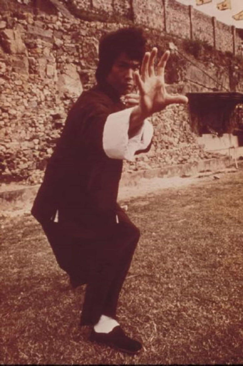 Bruce Lee, Siblings, Child star, Other fighting skills, First school, Fighting style, 'The Green Hornet', Hollywood, Unfinished work, One-inch punch, Poet and philosopher, Womanizer, New theories, Statue of Bruce Lee