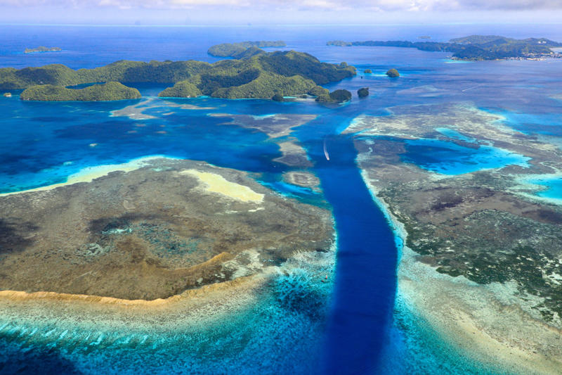 Federated States of Micronesia, United States Virgin Islands, Dominica, Greenland, Marshall Islands, Turks and Caicos Islands, American Samoa, Liechtenstein, Saint Martin, Montserrat