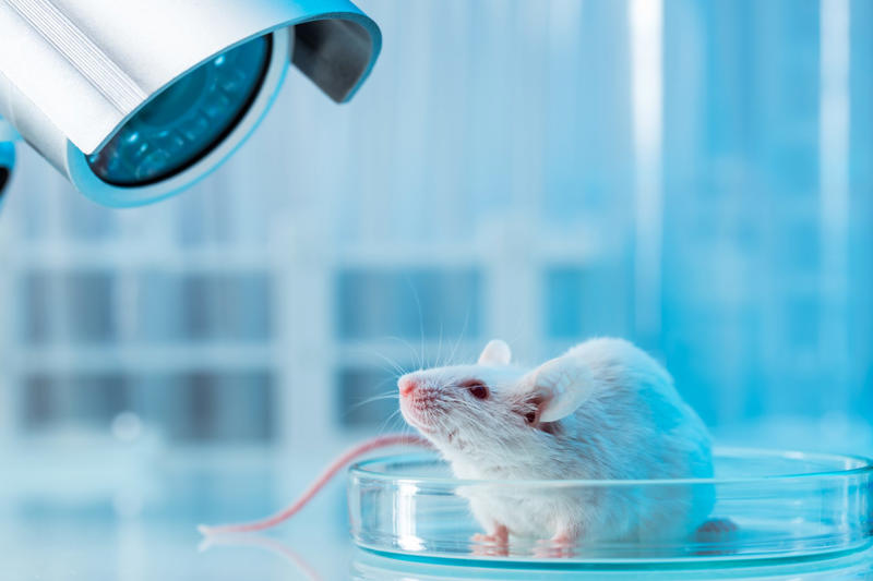 Will it remain a dream forever?, Weightlessness has health consequences, The aging process accelerates, NASA's radiation limit, The researchers' hypothesis, Mice on board the ISS, Holes in the femur, Some bone structures weren’t affected, Bone deterioration, Why radiation is an unlikely cause, Our human skeletons need gravity