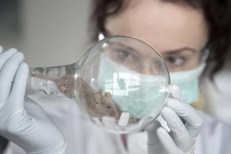 Will it remain a dream forever?, Weightlessness has health consequences, The aging process accelerates, NASA's radiation limit, The researchers' hypothesis, Mice on board the ISS, Holes in the femur, Some bone structures weren’t affected, Bone deterioration, Why radiation is an unlikely cause, Our human skeletons need gravity