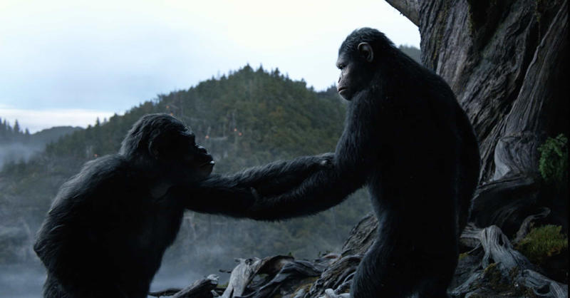 ‘Dawn of the Planet of the Apes’ (2014) ‘I Am Legend’ (2007), ‘12 Monkeys’ (1995), ‘Oblivion’ (2013), ‘Surrogates’ (2009), ‘Dawn of the Planet of the Apes’ (2014), ‘The Hunger Games’ (2012), ‘Avatar’ (2009), ‘District 9’ (2009), ‘Inception’ (2010), ‘Sunshine’ (2007), ‘Back to the Future’ (1985), ‘WALL-E’ (2008)