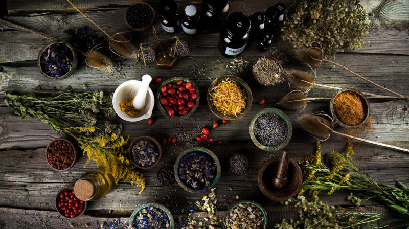 The ancient origins of beer, From nomads to brewers, "Gruit" and beer preservation in ancient societies, Hops in traditional medicine, Research, Low and non-alcoholic beer options, Xanthohumol's role in obesity and blood glucose control, Potential anti-cancer effects, Early human trials show promise, Digestive health, Anxiety and depression reduction, Alternative for sleep aids, Cardiovascular potential of xanthohumol, Special precautions for hops use