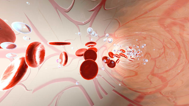 Microchimerism Why is it so useful?, Introducing chimerism, Rare phenomenon, Different types of chimerism, Microchimerism, Artificial chimerism, Twin chimerism, Skin symptoms, Non-visible symptoms, Left to chance, Failed paternity test, Failed maternity test, Taylor Muhl, Bone marrow transplants, Pregnancy