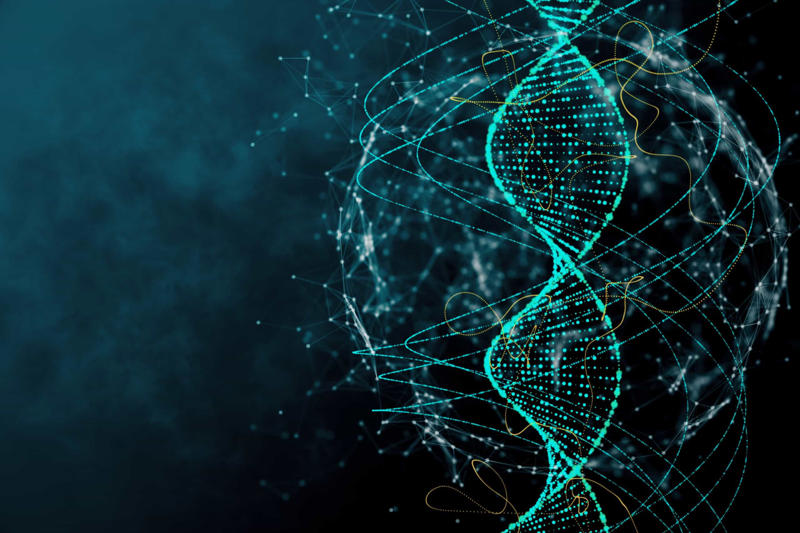 DNA Why is it so useful?, Introducing chimerism, Rare phenomenon, Different types of chimerism, Microchimerism, Artificial chimerism, Twin chimerism, Skin symptoms, Non-visible symptoms, Left to chance, Failed paternity test, Failed maternity test, Taylor Muhl, Bone marrow transplants, Pregnancy