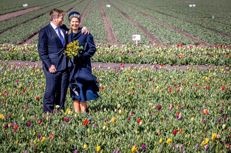 Dutch "I love you" in nearly every language, Mandarin, Bengalese, Portuguese, Japanese, Bulgarian, Croatian, Ukrainian, Estonian, Irish Gaelic, Lithuanian, Romanian, Hungarian
