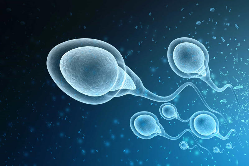 Twin chimerism Why is it so useful?, Introducing chimerism, Rare phenomenon, Different types of chimerism, Microchimerism, Artificial chimerism, Twin chimerism, Skin symptoms, Non-visible symptoms, Left to chance, Failed paternity test, Failed maternity test, Taylor Muhl, Bone marrow transplants, Pregnancy