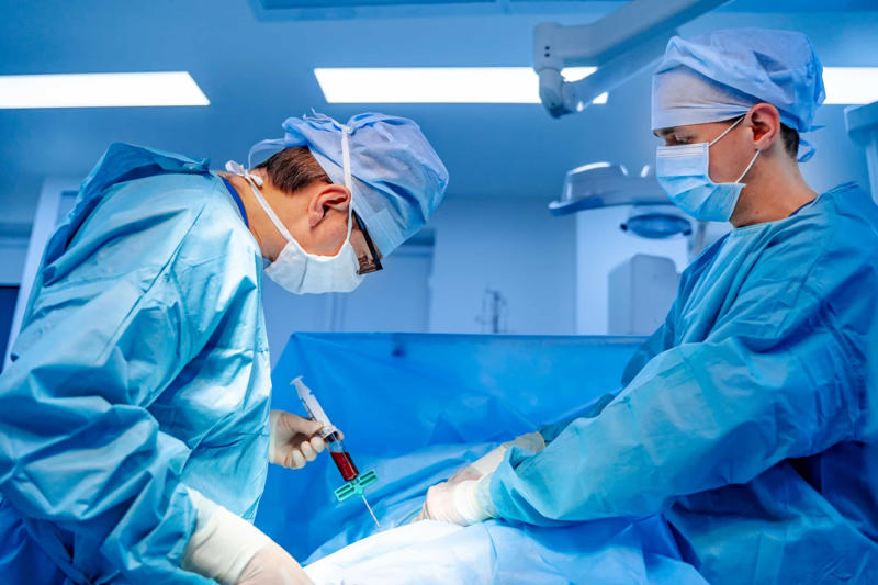 Bone marrow transplants Why is it so useful?, Introducing chimerism, Rare phenomenon, Different types of chimerism, Microchimerism, Artificial chimerism, Twin chimerism, Skin symptoms, Non-visible symptoms, Left to chance, Failed paternity test, Failed maternity test, Taylor Muhl, Bone marrow transplants, Pregnancy