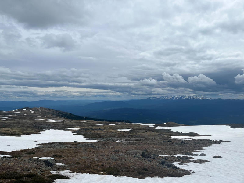Sign up to The Getaway newsletter , We’re going on a bear hunt, Explore more of lesser-known Canada , ‘Adrenaline rushes through my body’, Even scarier? Flying in a seaplane, Learning about First Nations freedom, How to visit Northern British Columbia