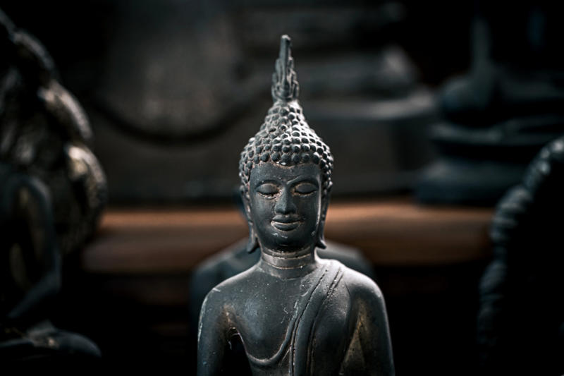 Understanding antinatalism, The asymmetry of existence, The Buddhist perspective, Deceptive appeal, The illusion of a fulfilling life, The Schopenhauer perspective, The inescapability of death, The paradox of wanting longevity, The Buddhist answer, The negative nature of pleasure, The Ponzi scheme of procreation, The deceptive promise of love, The cost of human nature, The ultimate ethical question, Camaraderie of fellow sufferers