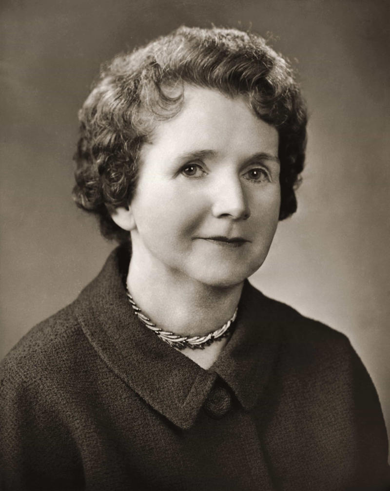 Scientists and researchers: Rachel Carson Leaders and politicians: Carol Moseley Braun, Leaders and politicians: Condoleezza Rice, Leaders and politicians: Hillary Clinton, Athletes: Billie Jean King, Athletes: Serena Williams, Artists: Georgia O'Keeffe, Activists, revolutionaries, and humanitarians: Helen Keller, Activists, revolutionaries, and humanitarians: Tarana Burke, Aviation and space: Sally Ride, Business leaders: Meg Whitman, Entertainers: Oprah Winfrey, Scientists and researchers: Margaret Mead, Scientists and researchers: Rachel Carson, Writers: Toni Morrison