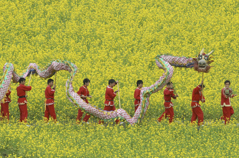 Dragon dance - China Cossack dancing - Ukraine, Whirling dervish - Turkey, Waltz - Vienna, Step dancing - Ireland, Dragon dance - China, Kabuki - Japan, Bharatanatyam - India, Capoeira - Brazil, Morris dancing - England, Kathak - India, Court dance - Korea, Maypole dance - Sweden, Indlamu - South Africa, Jarabe Tapatio - Mexico, Schuhplattler - Germany