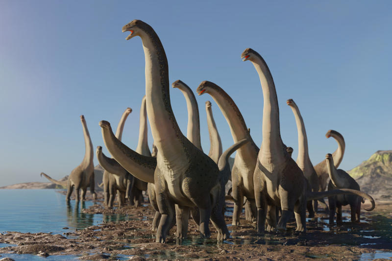 Social behavior A long time ago, Bird of a feather, Fossilized records, Stomachs and size, Sauropods, Predators, Social behavior, Metabolism, Plant evolution, Sauropod plateau
