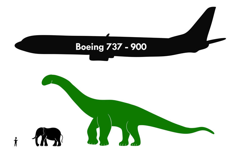 Sauropod plateau A long time ago, Bird of a feather, Fossilized records, Stomachs and size, Sauropods, Predators, Social behavior, Metabolism, Plant evolution, Sauropod plateau