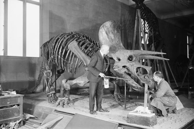 Fossilized records A long time ago, Bird of a feather, Fossilized records, Stomachs and size, Sauropods, Predators, Social behavior, Metabolism, Plant evolution, Sauropod plateau