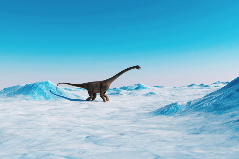 Seasons A long time ago, Bird of a feather, Fossilized records, Stomachs and size, Sauropods, Predators, Social behavior, Metabolism, Plant evolution, Sauropod plateau