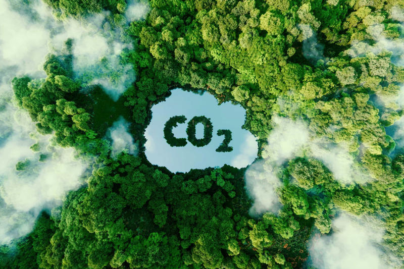 The beginning, The Oxygen Catastrophe, The first elements to be affected, When less CO2 becomes a problem, The end of forests, Water vapor, Could plants adapt?, Will humans be affected?, Finding a new home, Saving Earth, Moving Earth, Move to Mars