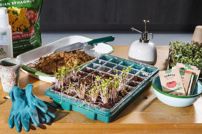 Soil to start seeds, Transfer the soil mixture, Plant the seeds, Label your seeds, Mist with water, Place on a heat mat, Introduce a grow light, Start fertilizing, When it comes to starting seeds, what is a blackout period?, What does it mean to sacrifice a seed?, Why do some seeds (especially flowers) require refrigeration before planting?