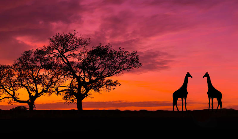 Kenya–Somalia Israel–Iran, Iran–Israel, Germany–France, France–Germany, China–Japan, United Kingdom–Ireland, Israel–Palestine, Turkey–Greece, Greece–Turkey, North Korea–South Korea, India–Pakistan, United Kingdom–France, Iran–Saudi Arabia, Kuwait–Iraq, Albania–Serbia, Armenia–Azerbaijan, Chile–Peru, Peru–Chile, Kenya–Somalia, Somalia–Kenya, Thailand-Cambodia
