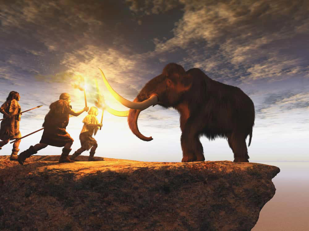 Megafauna Extinction Debate A Snapshot From The Ice Age, Discovery And Rediscovery, Dating Debates, Red Ochre Everywhere, The Oldest Bead In The Americas, An Unexpected Material, Microscopic Confirmation, A Site Deep Underground, A Delicate Discovery, Bone Needles Galore, Unusual Bone Sources, The Mammoth Timeline, Human Touch, Not Predator, Hundreds Of Artifacts, Clovis Point Fragment, A Cultural Landmark, A Difficult Dig, Ochre From Afar, Temporary But Complex Homes, Tailored Clothing Evidence, Bones From Small Carnivores, Household Chores, Long-Term Study, More Than Mammoths, Beads As Status Symbols, Tiny But Mighty, Future Work, A Site Like Pompeii, Global Significance, Rare Among Rarities