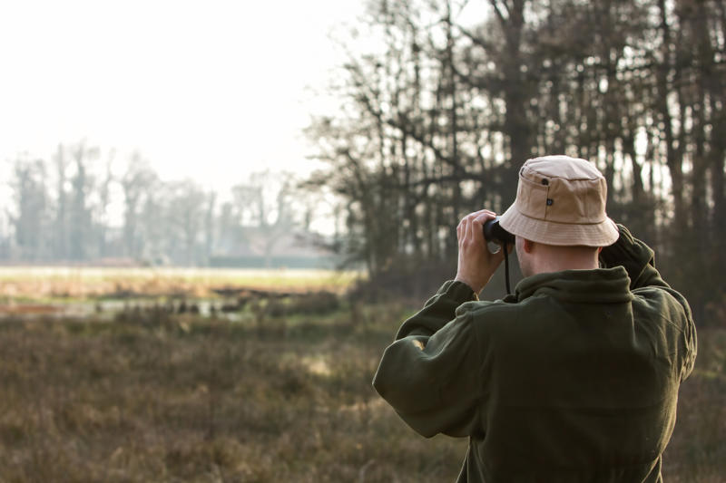 Easy steps to avoid death by wild animals Black bears, Grizzly bears, Black widow spiders, Massasauga rattlesnakes, Wolverines, Polar bears, Prairie rattlesnake, Easy steps to avoid death by wild animals