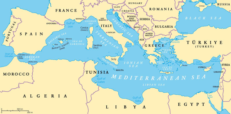 The Mediterranean The Mediterranean, The Alboran Sea, What is a fault line?, Western Mediterranean, Tsunami warning systems, How deadly would a Mediterranean tsunami be?, 1755 Lisbon earthquake, 2011 Tōhoku earthquake and tsunami, 2004 Indian Ocean earthquake and tsunami, It's not just the size of the tsunami that is a concern, Unusual sea fluctuations, Evacuate on foot, Stay out of coastal areas