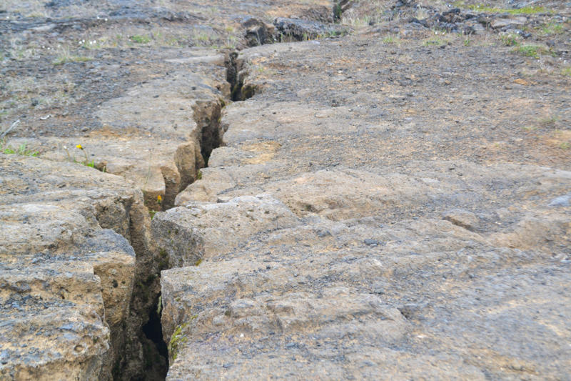 What is a fault line? The Mediterranean, The Alboran Sea, What is a fault line?, Western Mediterranean, Tsunami warning systems, How deadly would a Mediterranean tsunami be?, 1755 Lisbon earthquake, 2011 Tōhoku earthquake and tsunami, 2004 Indian Ocean earthquake and tsunami, It's not just the size of the tsunami that is a concern, Unusual sea fluctuations, Evacuate on foot, Stay out of coastal areas