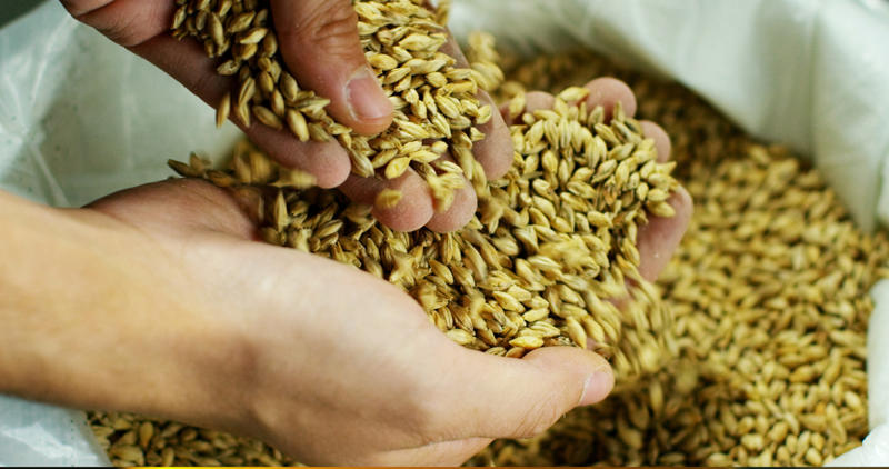 Home brewing MSF statement, Travel warnings, Worldwide issue, Cheap method, Home brewing, Methanol, Not safe for human consumption, Formaldehyde, Central nervous system, Severe consequences, Fomepizole, Dialysis