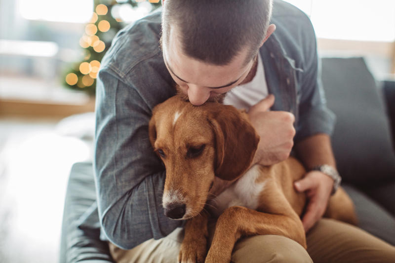 Buy a pet Control your breathing, Meditate, Listen to music, Don't procrastinate, Take regular breaks, Beware of excesses, Drink tea, Stay hydrated, Cut down on alcohol, Switch off, Have set schedules, Buy a pet